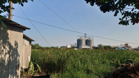 Foto 5